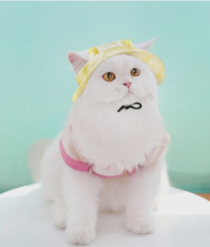 Grappige Honden- en Katten Zonnehoed met Oorgaten - Stijlvolle Tie-Dye Pet Accessoires
