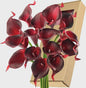 Real Touch Kunst Calla Lelies - Bruidsboeket & Bloemstukken (15 stuks)