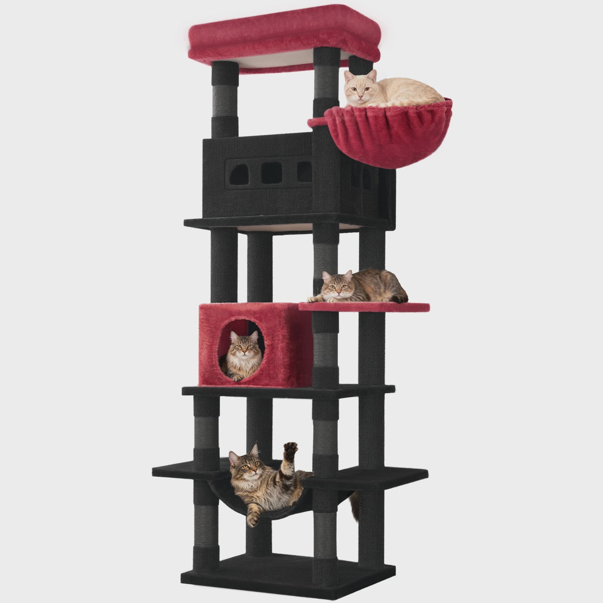Grote Kattenboom 170 cm - Multi-Level Krabpaal met Ruim Zitplateau & Wasbare Mat - Geschikt voor Maine Coons
