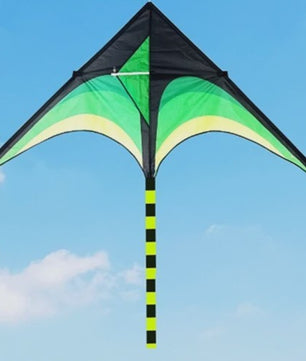 Grote Delta Vlieger - Professioneel Vliegeren in Lichte Wind