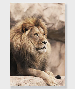 Canvas Poster Set: Leeuw, Giraffe, Olifant, Ballonvaart & Natuurlandschap