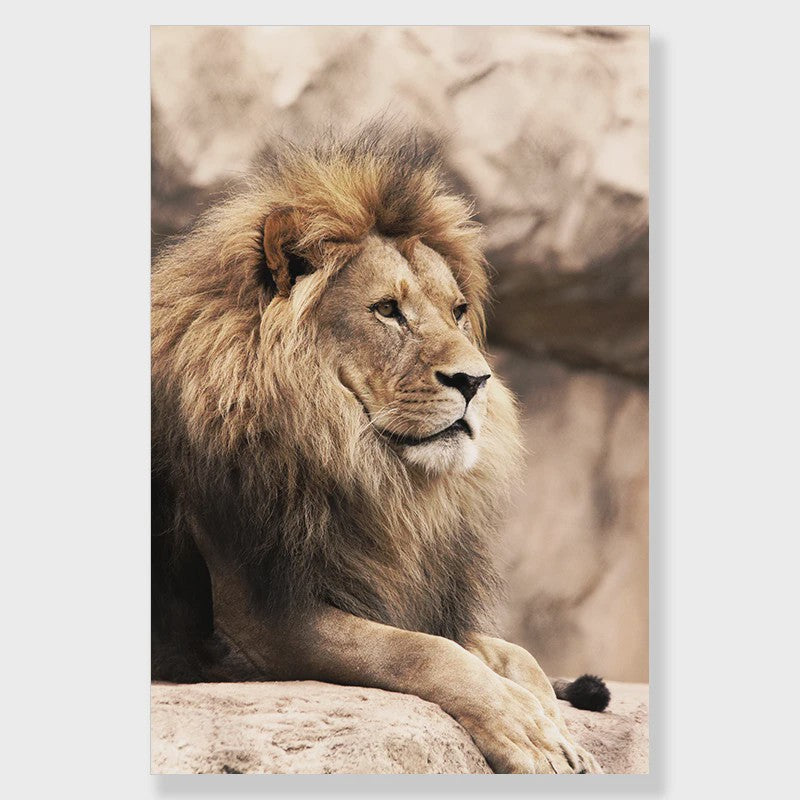 Canvas Poster Set: Leeuw, Giraffe, Olifant, Ballonvaart & Natuurlandschap