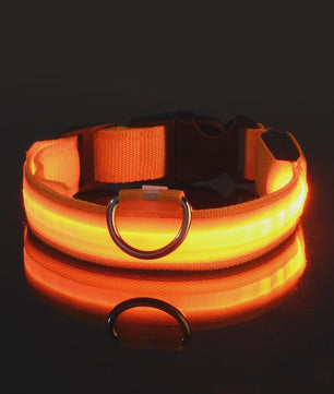 LED Hondenhalsband - Oplaadbaar en Verstelbaar voor Maximale Zichtbaarheid in het Donker