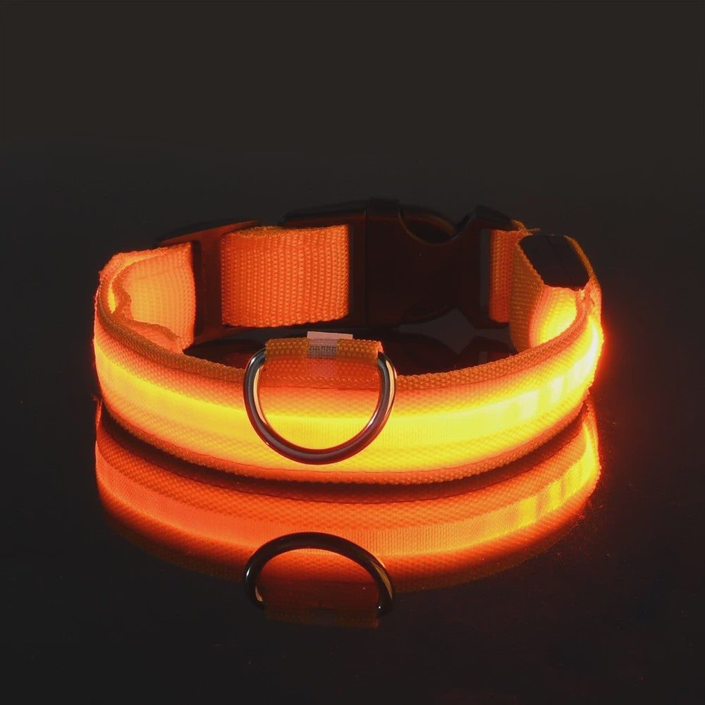 LED Hondenhalsband - Oplaadbaar en Verstelbaar voor Maximale Zichtbaarheid in het Donker