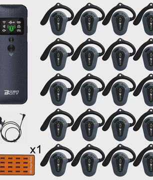 Professioneel 2.4GHz Draadloos Tour Guide Systeem met Groene Laser Pointer en Audio Headset