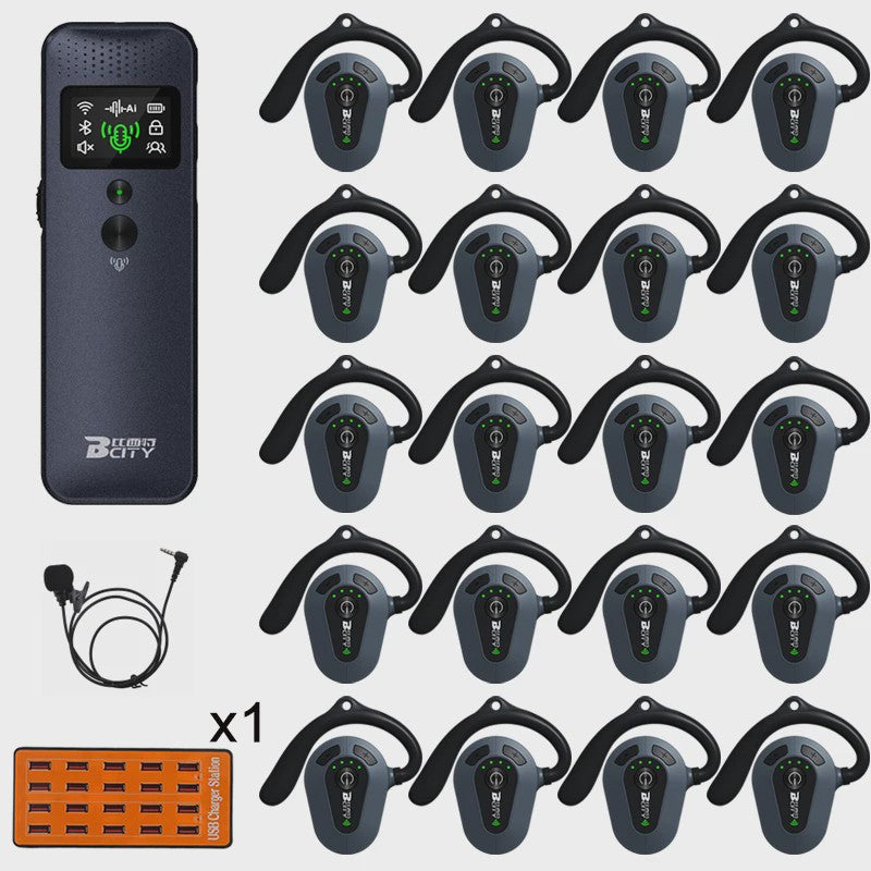 Professioneel 2.4GHz Draadloos Tour Guide Systeem met Groene Laser Pointer en Audio Headset
