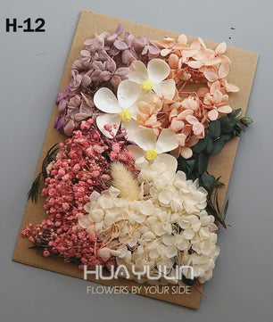Set Gedroogde Bloemen & Hydrangea voor Ambacht & Decoratie