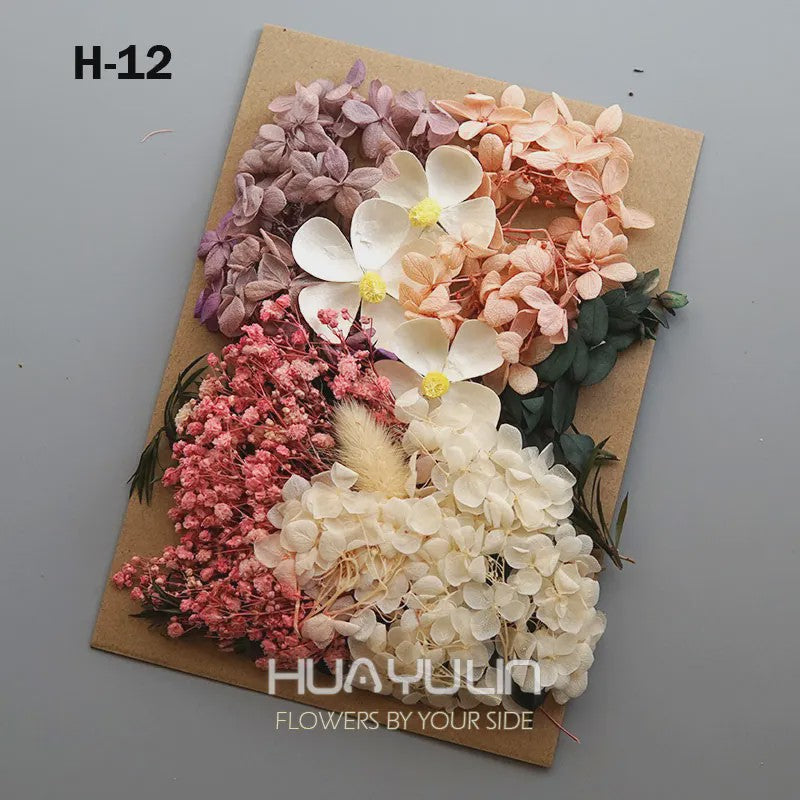 Set Gedroogde Bloemen & Hydrangea voor Ambacht & Decoratie