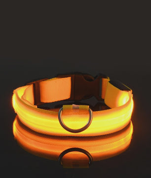 LED Hondenhalsband - Oplaadbaar en Verstelbaar voor Maximale Zichtbaarheid in het Donker