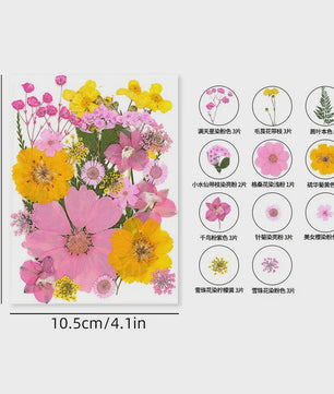 30 Stuks Gedroogde Persbloemen - Natuurlijke Bloemen & Bladeren voor Resin Art, Knutselen en Decoratie