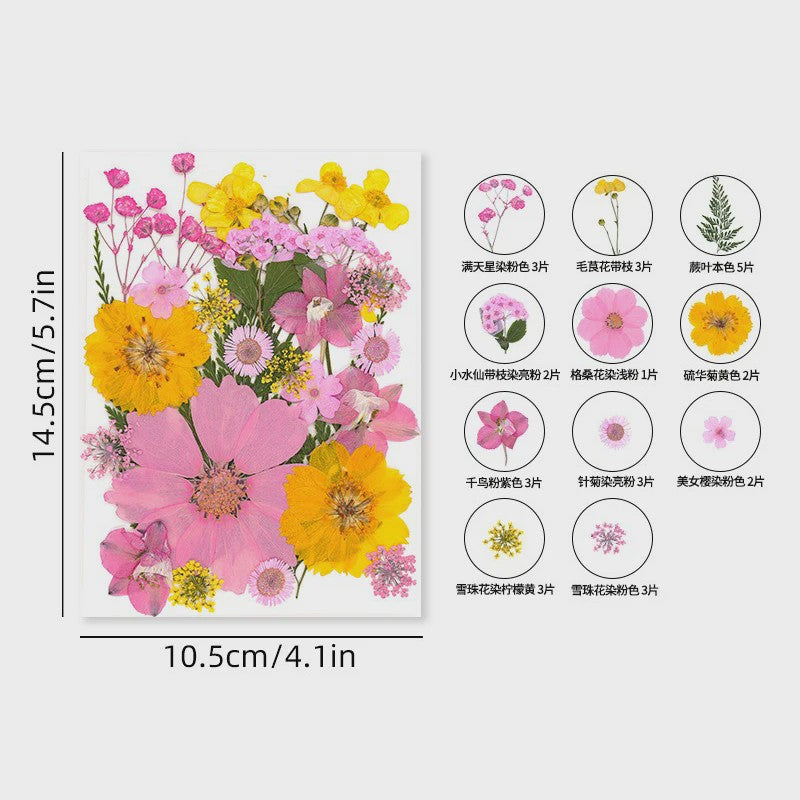 30 Stuks Gedroogde Persbloemen - Natuurlijke Bloemen & Bladeren voor Resin Art, Knutselen en Decoratie