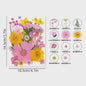 30 Stuks Gedroogde Persbloemen - Natuurlijke Bloemen & Bladeren voor Resin Art, Knutselen en Decoratie