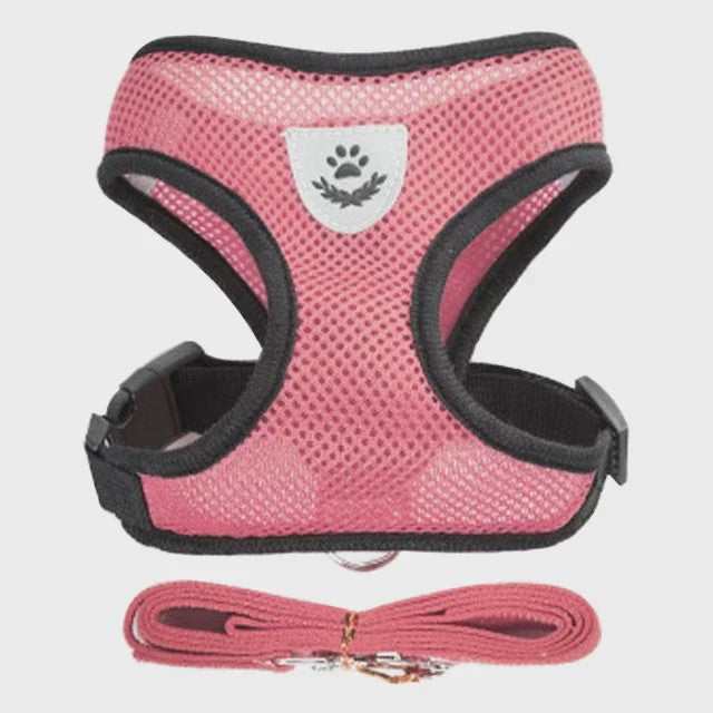 Verstelbaar Katten Tuigje met Lijn - Ademend Mesh Vest voor Kleine Honden & Katten