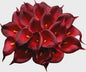 20x Kunstbloemen Calla Lelie - Real Touch Latex - Pure Wit