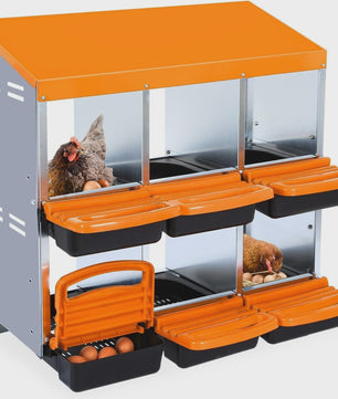 Stabiele Metalen Kippen Nestkast met Stand - 12 Vakken - Automatische Ei-verzameling