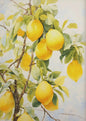 Mediterrane Canvas Poster: Citroenboom en Olijfboom met Grieks Landschap