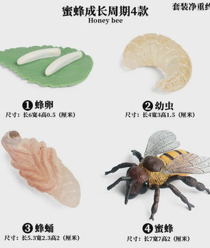 Realistische Insecten Speelgoed Set: Lieveheersbeestje, Bij, Spin & Meer - Educatief Plezier voor Kinderen