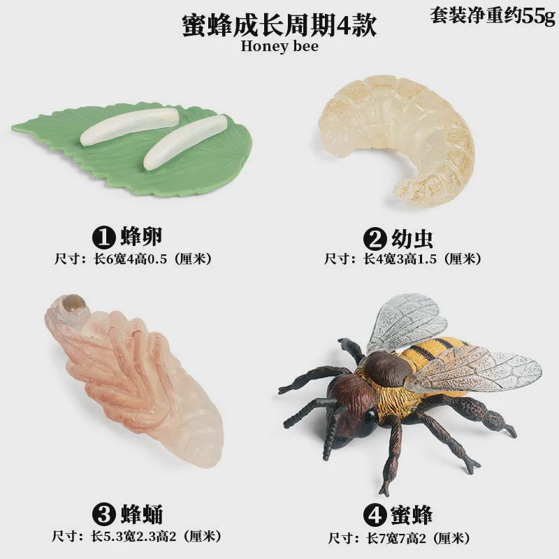 Realistische Insecten Speelgoed Set: Lieveheersbeestje, Bij, Spin & Meer - Educatief Plezier voor Kinderen