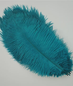 Set van 10 Gekleurde Struisvogelveren voor Knutselen, Decoratie en Feesten