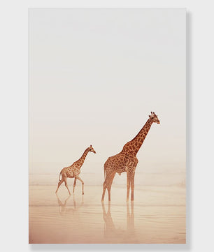 Canvas Poster Set: Leeuw, Giraffe, Olifant, Ballonvaart & Natuurlandschap