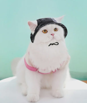 Grappige Honden- en Katten Zonnehoed met Oorgaten - Stijlvolle Tie-Dye Pet Accessoires