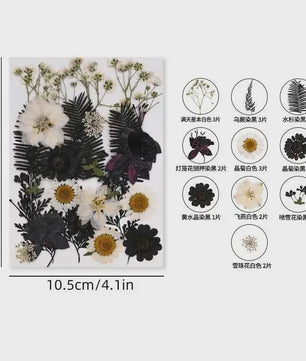 Set Gedroogde Bloemen & Bladeren (16-19 Stuks) - Natuurlijk & Realistisch