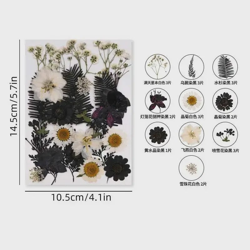 Set Gedroogde Bloemen & Bladeren (16-19 Stuks) - Natuurlijk & Realistisch