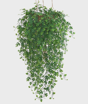 Kunstplant Klimop met Bladeren - Decoratie voor Feest, Huis, Kantoor & Tuin