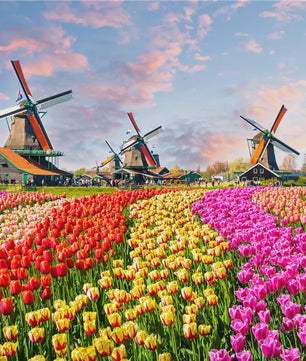 500 Stukjes Puzzel: Prachtige Landschap & Olieverf Kunst - Ontspanning voor Volwassenen & Familie