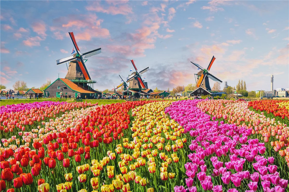 500 Stukjes Puzzel: Prachtige Landschap & Olieverf Kunst - Ontspanning voor Volwassenen & Familie