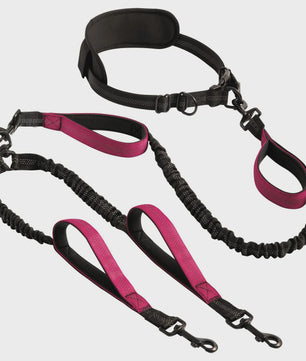 Verstelbare Dubbele Hondenriem met Schokdemper voor Handsfree Lopen en Trainen