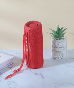 Draagbare Bluetooth Speaker met FM Radio, Subwoofer en 10W Stereo Geluid