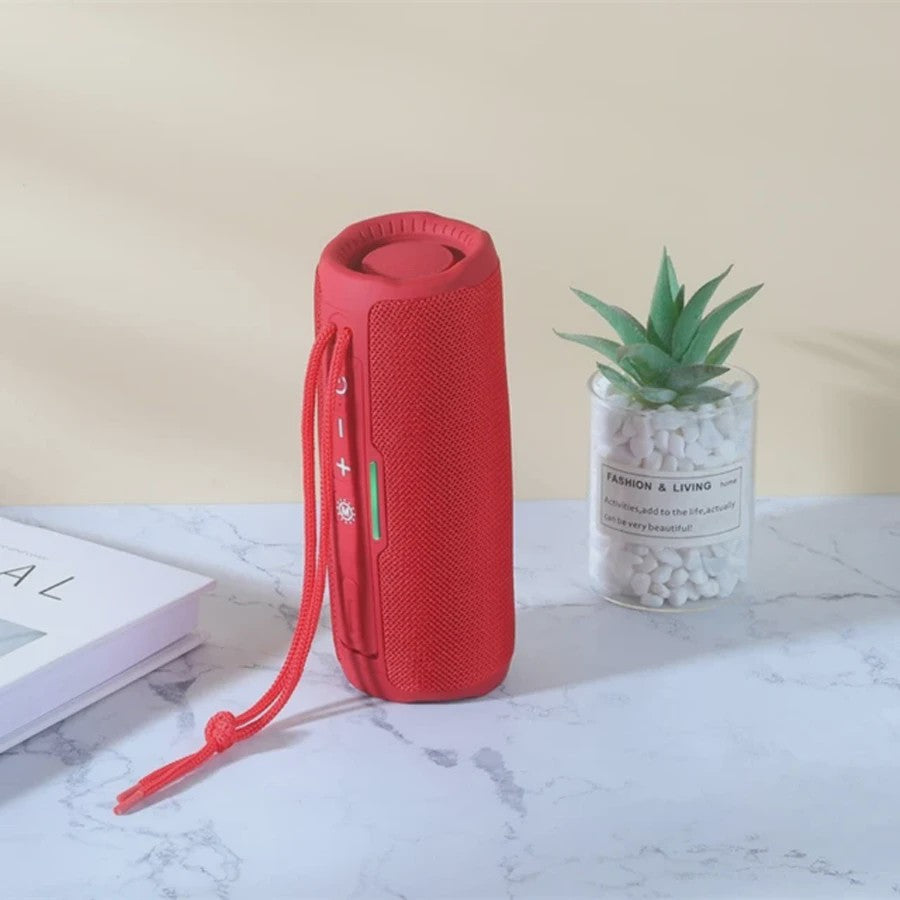 Draagbare Bluetooth Speaker met FM Radio, Subwoofer en 10W Stereo Geluid