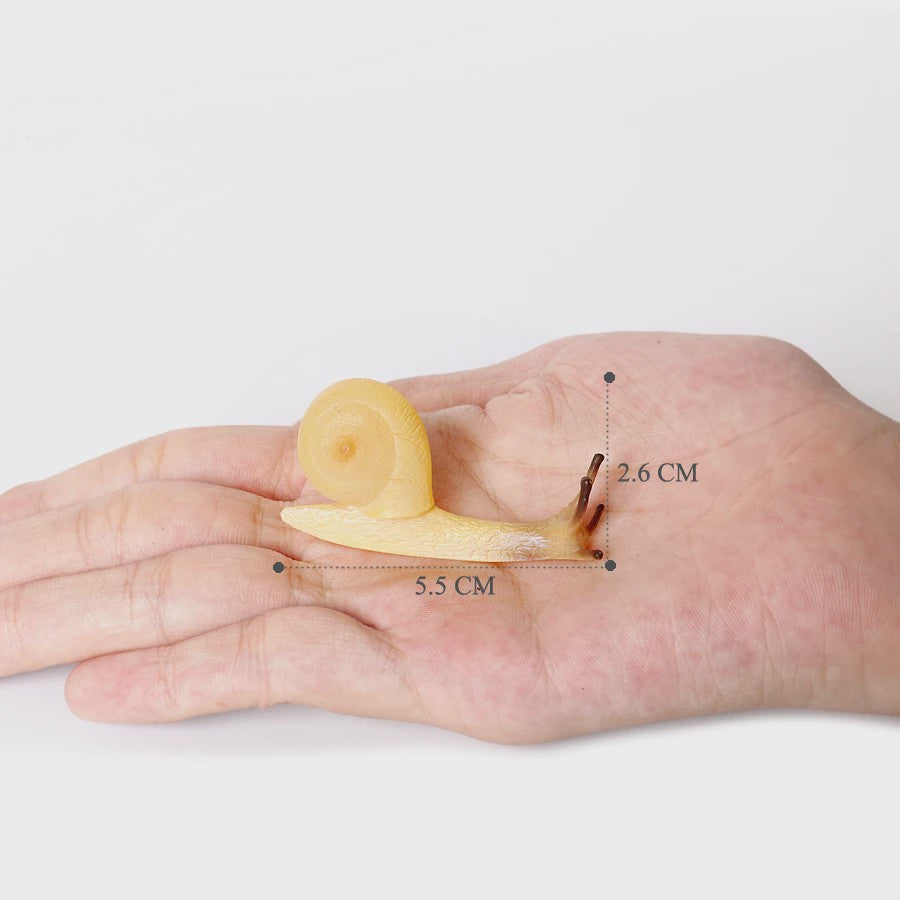 Realistische Insecten & Slakken Modellen - Educatief Speelgoed, Verzamelen & Decoratie