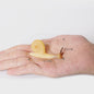 Realistische Insecten & Slakken Modellen - Educatief Speelgoed, Verzamelen & Decoratie