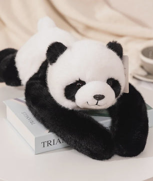 Kawaii Pluche Knuffel Dieren - Panda, Koala, Luiaard, Wasbeer, Dino (30-65cm) - Zacht & Decoratief