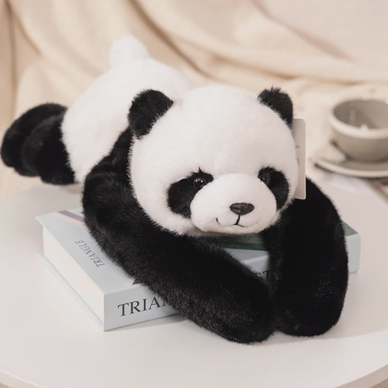 Kawaii Pluche Knuffel Dieren - Panda, Koala, Luiaard, Wasbeer, Dino (30-65cm) - Zacht & Decoratief