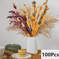 Natuurlijk Pampas Gras Boeket - Gedroogde Bloemen voor Boho Woondecoratie & Bruiloft
