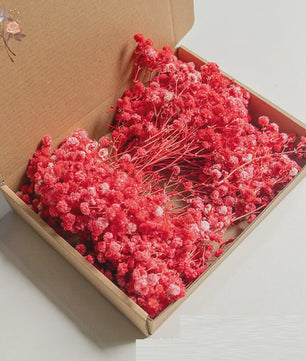 Gedroogde Mini Gipsenkruid Bloemen (100 stuks) - DIY Decoratie & Cadeau