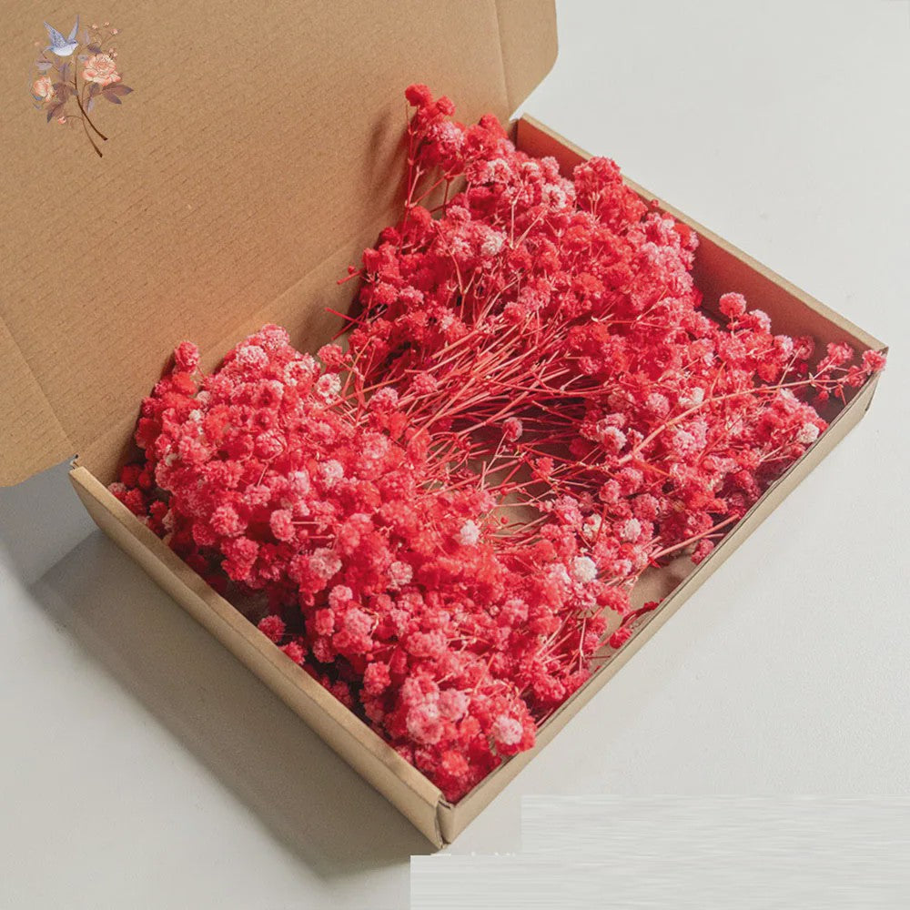 Gedroogde Mini Gipsenkruid Bloemen (100 stuks) - DIY Decoratie & Cadeau