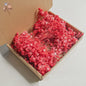 Gedroogde Mini Gipsenkruid Bloemen (100 stuks) - DIY Decoratie & Cadeau