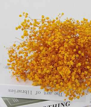 60g Gedroogde Baby's Breath Bloemboeket - Natuurlijke Gypsophila Decoratie