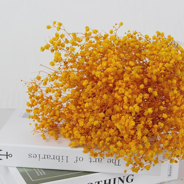 60g Gedroogde Baby's Breath Bloemboeket - Natuurlijke Gypsophila Decoratie