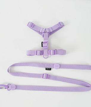 Verstelbaar Hondentuigje met Lijn & Halsband Set - Macaron Kleuren - Reflecterend & Comfortabel