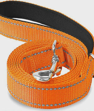 Veilige Hondentuig & Lijn Set met Nachtreflectie - Padded Handvat