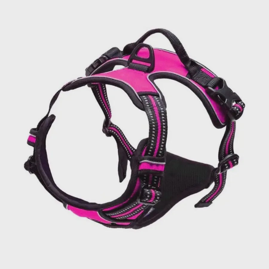 Verstelbaar Hondentuigje met Handvat - Comfortabel en Veilig