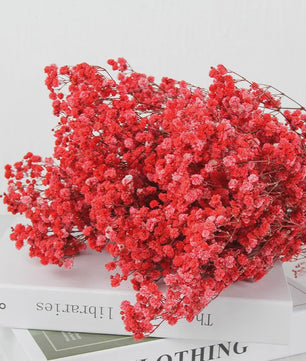 60g Gedroogde Baby's Breath Bloemboeket - Natuurlijke Gypsophila Decoratie