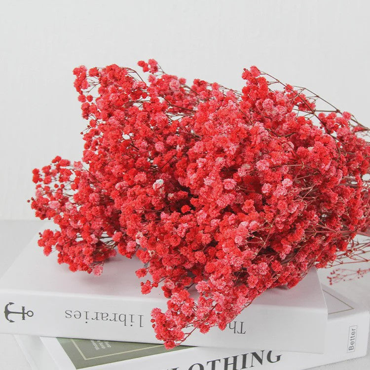 60g Gedroogde Baby's Breath Bloemboeket - Natuurlijke Gypsophila Decoratie