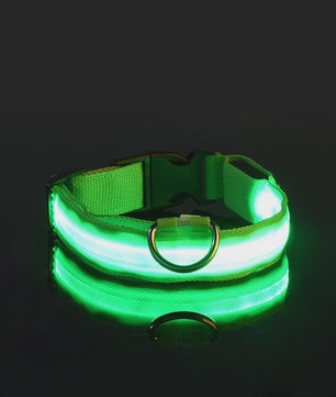 LED Hondenhalsband - Oplaadbaar en Verstelbaar voor Maximale Zichtbaarheid in het Donker