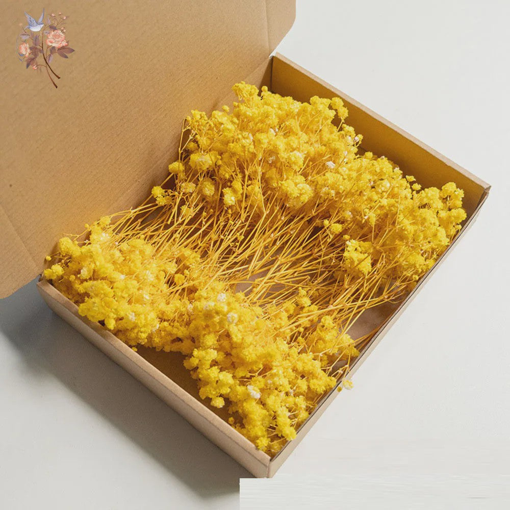 Gedroogde Mini Gipsenkruid Bloemen (100 stuks) - DIY Decoratie & Cadeau